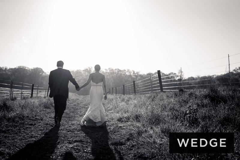 Wedding Blue Hill at Stone Barns Center for Food & Agriculture (Pocantico Hills, NY)