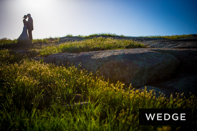 Wedding Blue Hill at Stone Barns Center for Food & Agriculture (Pocantico Hills, NY)